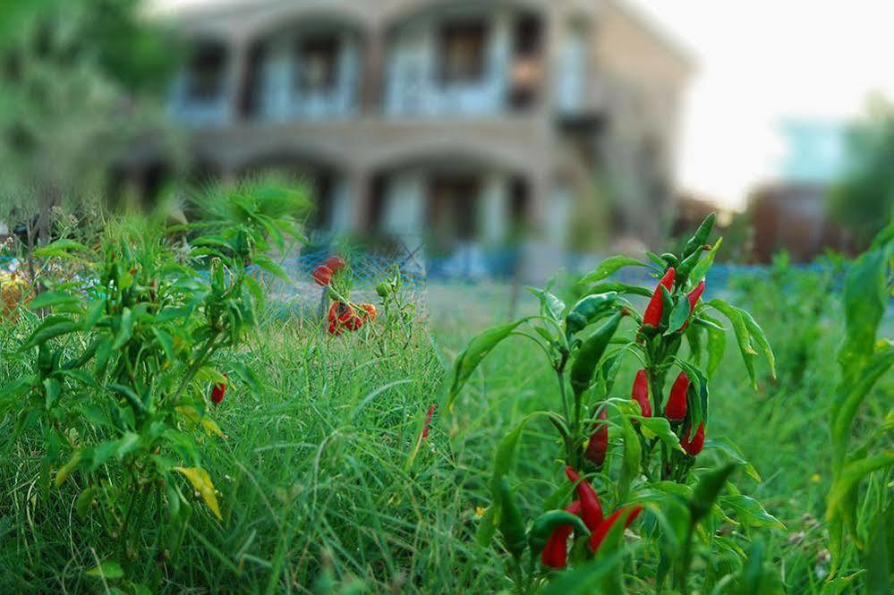 Cunda Deniz Hotel Ayvalik Exterior foto